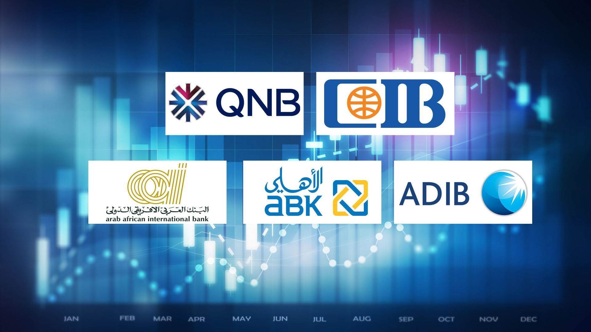 FirstBank | CIB, QNB-Egypt, and ADIB-Egypt top private sector banks ...