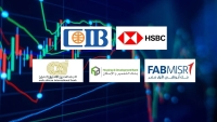 HSBC, CIB, and FABMISR Lead Egyptian Banks in the Employee Profitability Index During the First Half of 2025