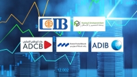 Housing and Development Bank, CIB, and ADIB-Egypt Lead the Fastest-Growing Banks in Shareholders’ Equity During the First 9M of 2025