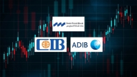 «Suez Canal Bank», «ADIB-Egypt», and «CIB» Lead EGX-Listed Banks in Loan Growth After Exchange Rate Adjustment in 2025
