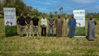 Al Ahli Bank of Kuwait – Egypt announces a new strategic partnership with Egyptian Food Bank to support Smallholder Farmers and Poultry Breeders in Beni Suef