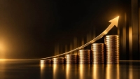 AAIB, Suez Canal Bank and BANK NXT lead retail banking growth over 3 years