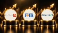 BANK NXT, CIB and Banque du Caire lead mortgage loan growth in H1 2026