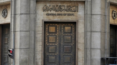 CBE: Remittances of Egyptians abroad hit $20bln in 8M