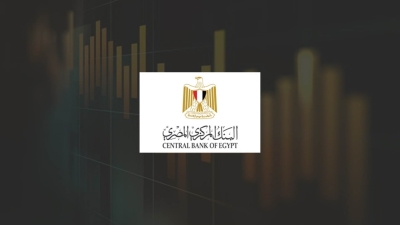 Egypt's net foreign reserves rise to $33.532 billion in November - c.bank