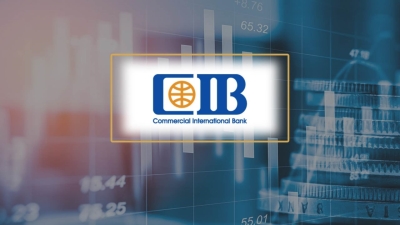 CIB may achieve more net profits upon expanding investments into SMEs: First Bank advices