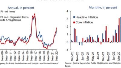 Egypt's CBE sheds light on high inflation in November 2022