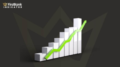  Ten growing Bank's in terms of net profits during 9M-22