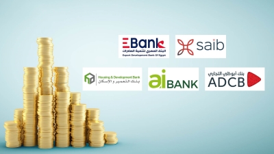 saib, E Bank, ADCB Egypt, aiBANK, and HD Bank, are fastest growing banks in terms of net interest income