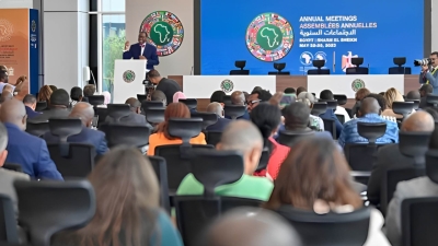 AFDB President calls out developed nations, for not honoring $100 billion-a-year pledge