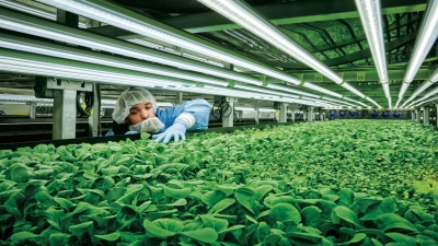 Revolutionizing Food Production: Cellular Agriculture Leads the Way