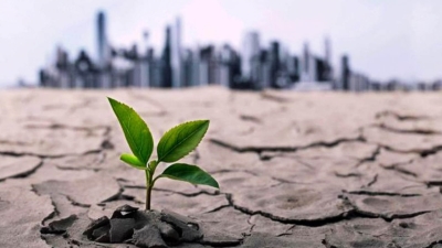 Climate Crisis: Impacts on Jobs and Economy Revealed in Latest Global Report