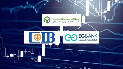 HD Bank, EGBANK and CIB, Fastest growing listed banks in direct loans during 9M- 2023