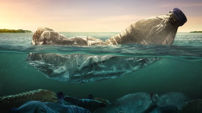 Containing toxic substances absorbed by the skin, New study warns against plastics