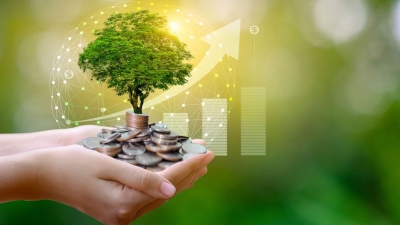 Egyptian banks' climate change policies: from investment decisions to daily operations