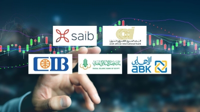 AAIB, saib, and ABK- Egypt Fastest-Growing Banks in Shareholders' Equity during H1-2024