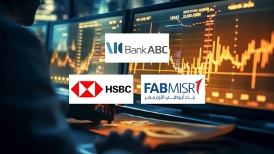 ABC, FABMISR, and HSBC: Fastest-Growing Foreign Banks in Net Interest Income in last 3 years