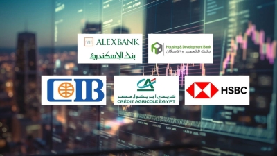 Housing & Development Bank, Alex Bank, and HSBC Top Egyptian Banks in Return on Average Assets During H1-2025
