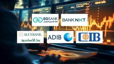 «BANK NXT», «EGBANK», and «CIB» Lead as Fastest-Growing Private Sector Banks in Net Profits During 2025