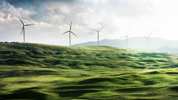 AAIB exerts efforts for 20 years to be a pioneer in sustainable development 