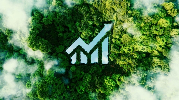 Egypt's progressive steps in Climate finance file 