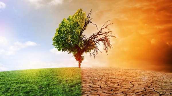 Have developed countries kept their commitments to climate change ?