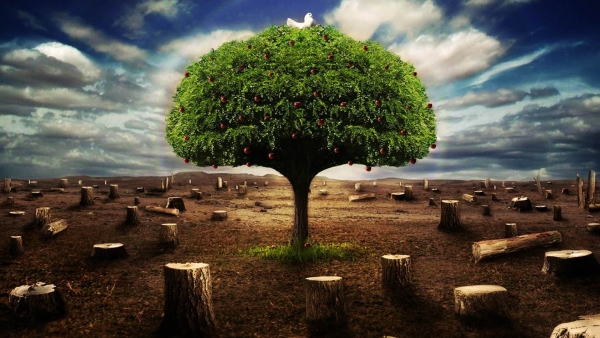 How do humans impact Ecological balance?