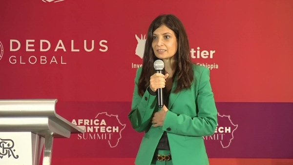 Key statements of Rasha Negm, Assistant Sub-governor of FinTech and Innovation for CBE, during the annual meeting of AFDB 2023