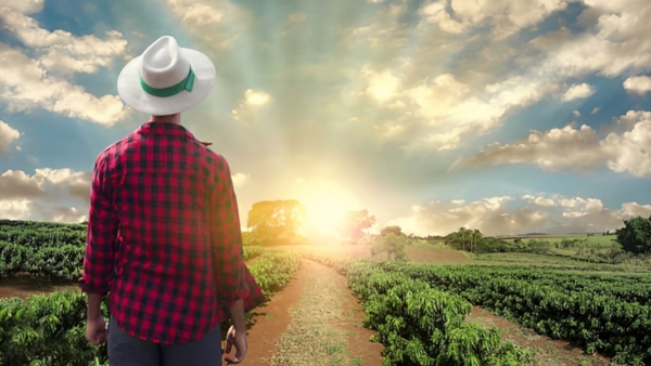 Egyptian Youth Spearhead Climate Action Efforts