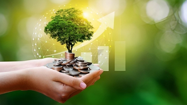 Central Bank of Egypt enhances its efforts in sustainability file