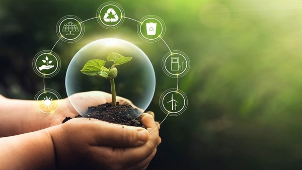 Role of private sector in facing climate change