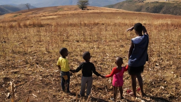 How climate change affects the brunette continent