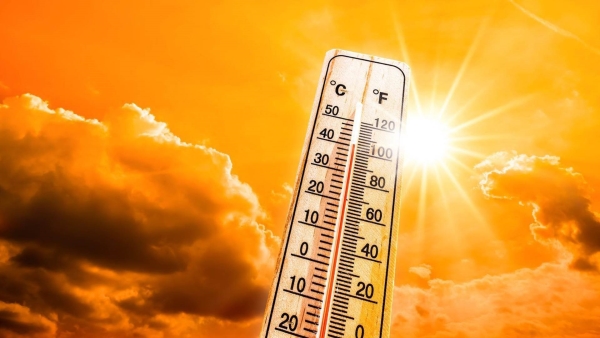 Temperatures hit new record levels, 2024 is expected to be the hottest year ever