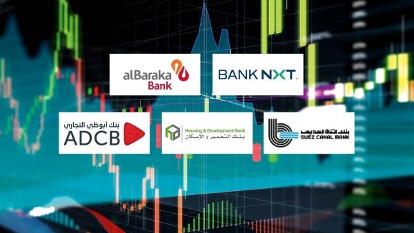 Bank NXT, AL Baraka Bank, SC Bank and HD Bank, fastest-growing banks in credit cards during H1-2024