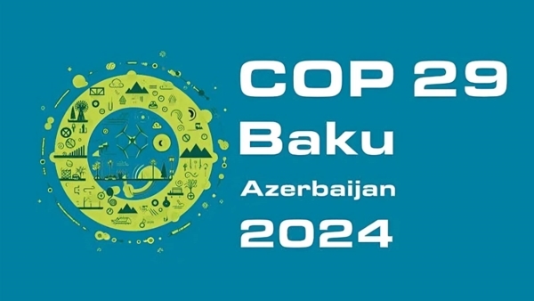 COP29, a critical step towards global solidarity to address climate change