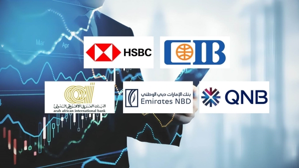 CIB, HSBC and QNB-Egypt top fastest growing private sector banks in credit cards in last 3 years