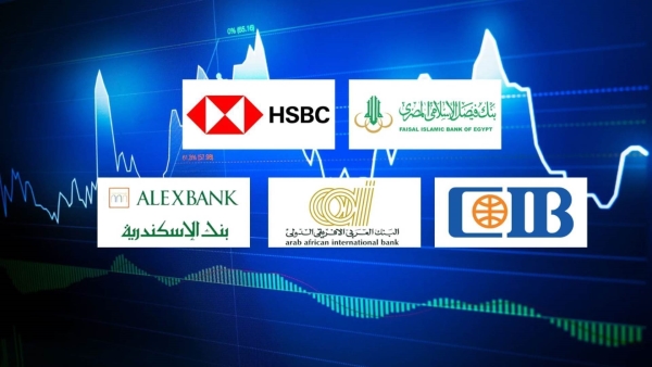 «Faisal Islamic Bank», «HSBC», and «CIB» are the private sector banks most focused on financial investments by the end of September 2025