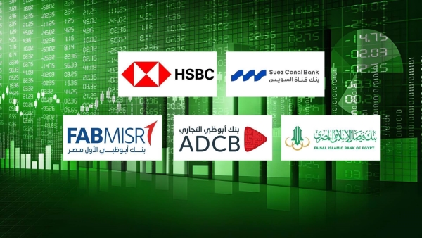 Suez Canal Bank, «HSBC», and «Faisal Islamic Bank »Are the Fastest-Growing Private Sector Banks in Institutional Deposits in 2025